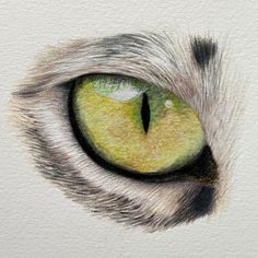 a drawing of a cat's eye with green and yellow colors