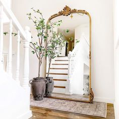 a large mirror sitting on top of a wooden floor next to a potted plant