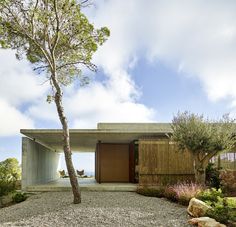 the house is made out of concrete and has a large tree in front of it