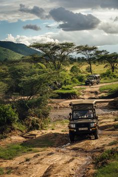 two jeeps driving down a dirt road in the wild