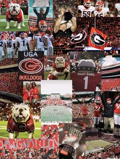 the collage shows many different sports teams and their mascot, including one football player