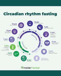 Low Cortisol Levels, Body Clock, How To Sleep Faster, Glucose Levels, Blood Glucose, Cortisol Levels, Body Energy, Testosterone Levels, Body Healing