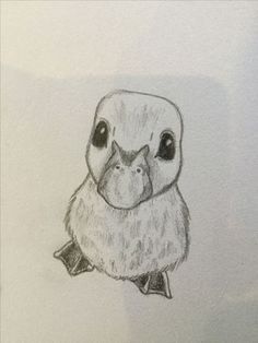 a drawing of a bird with its head on the back of it's neck