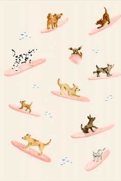 an image of dogs on surfboards in the ocean with birds flying above them and water below