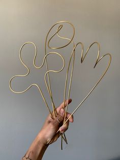 a person holding up some type of metal object with wire attached to it's sides