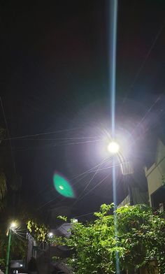 an elephant is standing in the grass under a street light at night with its trunk hanging down