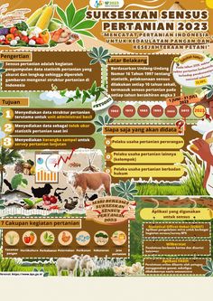 the poster shows different types of animals and their food sources, as well as information about what they eat