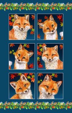 Studio E Fabric Bundle Auburn Fox Fabric block panel fabric by the panel Fox Quilt, Fox Fabric, Fox Studios, Quilt Shops, Fox Design, Art Quilt, Fox Art, Fabric Panel, Panel Quilts