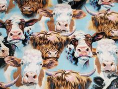 cows with long horns are depicted on a blue background