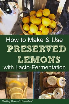 how to make and use preserved lemons with lacto - fermentation