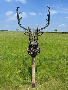 a metal deer head on top of a pole in the middle of a grassy field