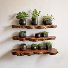 three wooden shelves with potted plants on them