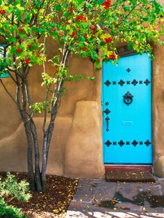 a blue door is next to a small tree and shrubbery in front of an adobe - style building