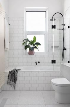 a white tiled bathroom with a plant in the window