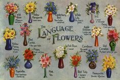 the language of flowers in vases is shown with different colors and designs on it