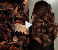 ▷ curly hair hairstyles, curly hair tips, curly hair bangs, hairstyles for curly hair, curly hair men? Brown Fall Hair Balayage, Muted Brown Hair, Brassy Brunette, Chestnut Balayage, French Balayage, Bronze Hair Color, Fall Balayage, Brown Hair Looks, Brunette Hair With Highlights