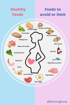 a pregnant woman's silhouette with the words healthy foods to avoid or limit