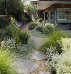 a garden with lots of green plants next to a house