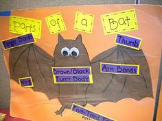 a bulletin board with words written on it and an image of a bat in the middle