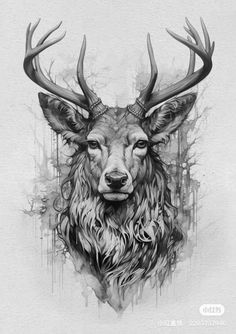 a black and white drawing of a deer's head with antlers on it