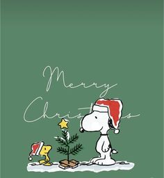 a snoopy christmas card with the words merry christmas written in white on green background