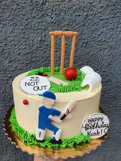 a birthday cake with a cricket theme on it