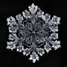 a snowflake is seen in this black and white photo, which appears to be from above