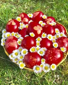 a basket filled with lots of red eggs covered in daisies on top of green grass