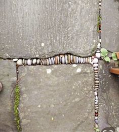 a person is standing next to a wall with beads and plants growing out of it