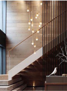 a white bird sitting on top of a wooden staircase