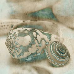 two seashells sitting on top of a blue and white cloth covered tablecloth