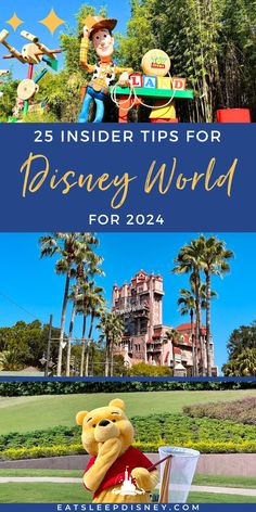 disneyland world with the words 25 insider tips for disney world for 2014 on top and bottom