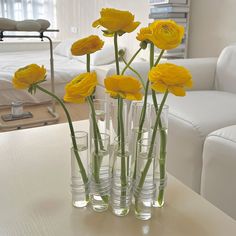 yellow flowers in glass vases sitting on a table next to a white couch and chair