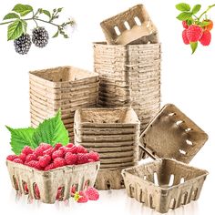 PRICES MAY VARY. Material: berry baskets are made of high-quality pulp, reusable and recyclable, thickened material makes them last longer, and paper baskets are safer than plastic baskets and foam baskets Size: the size of each strawberry basket is 4" x 4" x 1.77" / 10cm x 10cm x 4.5cm, can hold about 1/2 pint of berries, baskets can be stacked to save space Application: the mini basket is suitable for storing blueberries, raspberries, strawberries, blackberries, raspberries, cherries, small tomatoes, etc. ideal for supermarkets, shops, farms, fruit shops Keep Fresh: the produce basket has a ring of ventilation holes on the side, which is great for keeping fruits and vegetables fresh whether the weather is wet or dry Features: natural and safe paper basket containers are perfect for fairs Storing Blueberries, Small Farmers Market, Farmers Market Produce, Produce Basket, Strawberries In Containers, Strawberry Basket, Anne Wilson, Produce Baskets, Paper Baskets