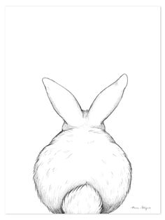 a pencil drawing of a rabbit's head