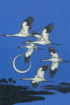 three white birds flying in the blue sky above trees and water with a circular ring on it's tail