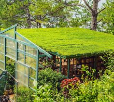 a house with a green roof surrounded by trees and plants in the foreground is a greenhouse