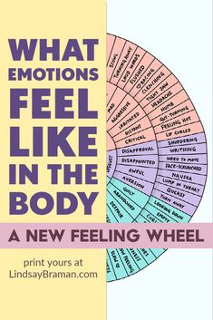 Emotions Wheel, Feelings Wheel, School Social Work, Counseling Activities, Therapy Counseling, Counseling Resources, Body Awareness, Therapy Worksheets, Emotional Regulation