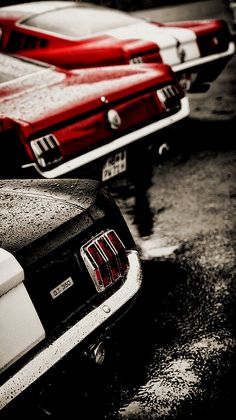 several classic mustangs are lined up in a row on the street with water droplets all over them