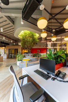 an office with two computers on the desk and plants in the middle of the room