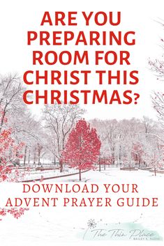 a red tree in the snow with text that reads are you preparing room for christmas?