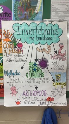 a bulletin board with information about invertebrateds and other things on it