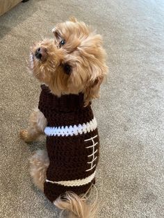 a small dog wearing a football sweater on the floor with his paw in it's mouth