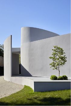 a small tree is growing in the grass near a modern building that has curved walls