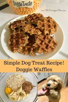 a collage of different dog treats and waffles on a plate with the words, simple dog treat recipe doggie waffles