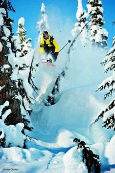 a man flying through the air while riding skis on a snowy slope in front of trees