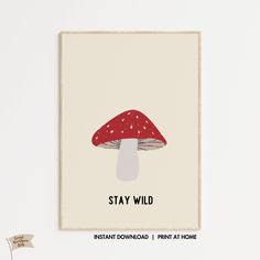 a red mushroom with the words stay wild on it is displayed in front of a white wall