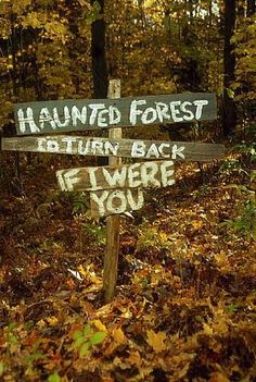 a wooden sign in the middle of a forest with writing on it that says,'haunted forest return back if i were you '