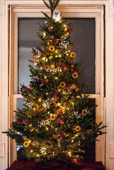 a decorated christmas tree in front of a window