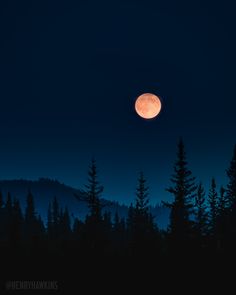 the full moon is seen over some trees